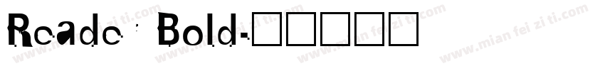 Reader Bold字体转换